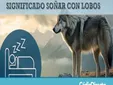Soñar con lobos según la Biblia: el mensaje oculto que no debes ignorar