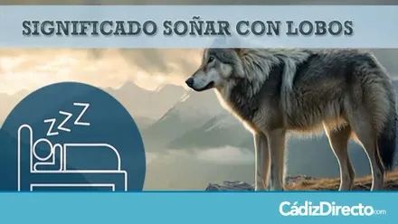 Lobo en la montaña