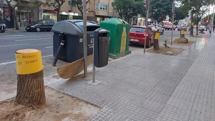 Imagen captada en la avenida Cayetano del Toro con los tocones de los árboles cubiertos por carteles amarillos con lemas como “Ayuntamiento arboricida” y “Los árboles no sobran”. Escena diurna, composición horizontal que resalta el contraste entre el asfalto y los mensajes escritos a mano.