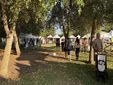 El Mercado Agroartesano 'La Laguna' vuelve este domingo con más de 50 puestos de productos locales