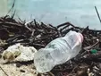 Voluntarios retiran dos toneladas de basura del Paseo Marítimo de Puerto Real