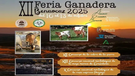 Cartel de la Feria Ganadera 2025 de Benaocaz con una montaña, el atardecer y fotos de vacas y cabras enmarcadas.