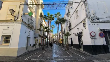 Imagen de la Calle de la Palma de Cádiz con el cielo azul en la mañana de este 29 de octubre, con sus altas palmeras y las luces de Navidad (y por la conmemoración del Maremoto de 1755) ya instaladas