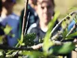 Primer seminario en Rota dedicado a la conservación del camaleón común