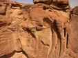 Arabia Saudí revela un hallazgo más antiguo que las pirámides, esculturas de camellos del Neolítico