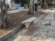 Alertan del estado de abandono del Cementerio de los Ingleses de Cádiz