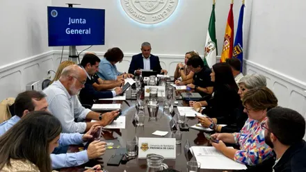 Momento de la reunión del Consorcio de Bomberos de Cádiz.