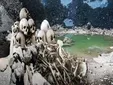 La impactante historia del lago del Himalaya que esconde cientos de esqueletos