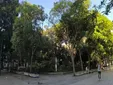 Jueves de sol y ligera subida de temperaturas en la provincia de Cadiz, con Poniente suave