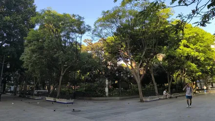 Jueves de sol y ligera subida de temperaturas en la provincia de Cadiz, con Poniente suave