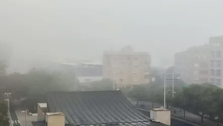 Niebla densa sobre la avenida de la Sanidad Pública en Cádiz, con los edificios apenas visibles entre la bruma matinal.