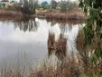 De Cádiz a Ronda, los nuevos humedales que ponen a Andalucía a la cabeza en conservación ambiental