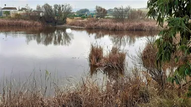 Lago del humedal de Bonanza en Sanlúcar de Barrameda.