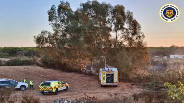Camión y coches de bombero en una zona boscosa que ha ardido.