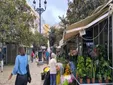 Piden en Cádiz un plan urgente para rescatar la Plaza de las Flores del abandono