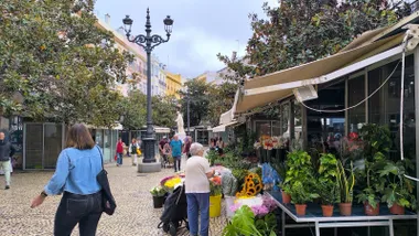 Imagen de puestos de flores en la plaza de Topete de Cádiz, conocida como plaza de las Flores