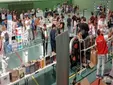 El IV Salón Manga de Rota celebra su edición más esperada con invitados de lujo y un fin solidario