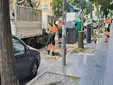 El Ayuntamiento de Cádiz justifica la tala de seis árboles en Cayetano del Toro por “riesgo de caída”