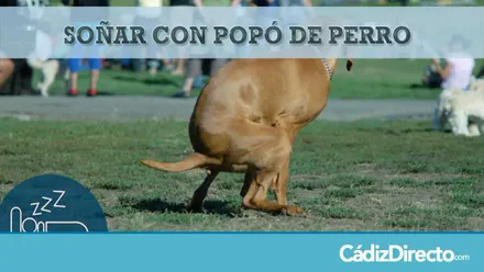 Perro cagando en el parque