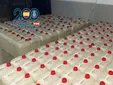 Interceptadas en Sanlúcar tres furgonetas cargadas con gasolina para abastecer narcolanchas