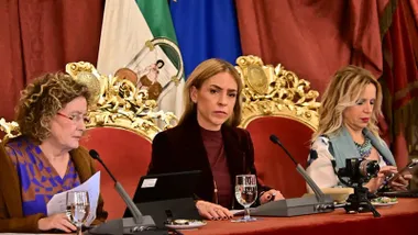 Almudena Martínez del Junco presidenta de la Diputación de Cádiz en el último Pleno provincial. Foto: Eulogio García.