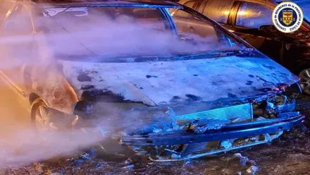 Automóvil totalmente calcinado en San Fernando.