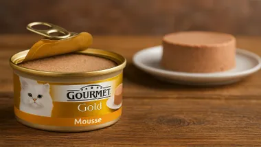 Lata de comida gourmet para gato.