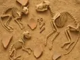 El sorprendente cementerio de mascotas del Egipto romano que reescribe la Historia del cariño animal