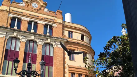 Una paloma vuela ante el edificio de Correos en Cádiz en el que arriba a la derecha se ve la grieta que parece haberse agrandado. Foto: José Luis Porquicho Prada.