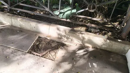 Estado actual de uno de los puntos deteriorados en la Plaza de Candelaria,.