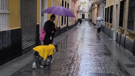 Una mujer con su paraguas pasea con su perro con chubasquero por una calle del centro de Cádiz mojada por la lluvia de la borrasca Claudia