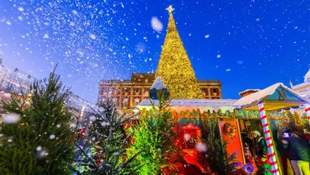 Plaza del Rey de San Fernando con el Ayuntamiento al fondo y adornos de Navidad y un árbol iluminado.