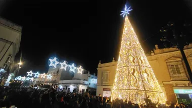 Iluminación navideña en Puerto Real, destaca un árbol de Navidad luminoso.