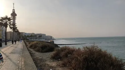 Vista de la avenida Alcalde Manuel de la Pinta, en Cádiz, con el pirulí al fondo, en una mañana de miércoles marcada por la humedad y el aumento del viento antes de la llegada de la borrasca Claudia.