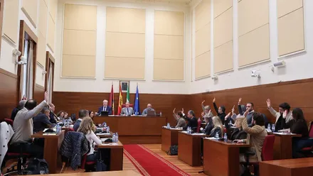 Momento del Pleno celebrado en Chiclana.