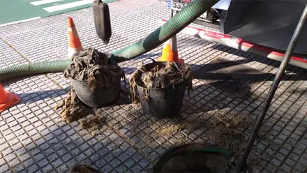 Toallitas sacadas de la red de Cádiz