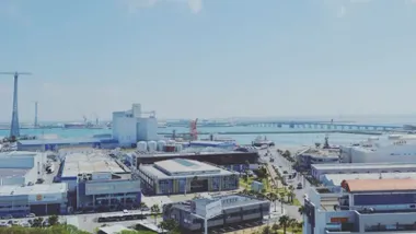 Vista aérea del recinto fiscal de la Zona Franca de Cádiz.