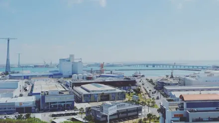 Vista aérea del recinto fiscal de la Zona Franca de Cádiz.
