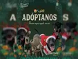 No es un regalo, es una responsabilidad, la campaña navideña que promueve la adopción animal en San Fernando