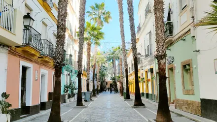 La calle de la Palma de Cádiz practicamente desierta, con cielos despejados y las luces de Navidad instaladas