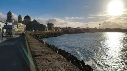 Vista de la Catedral de Cádiz y el paseo del Campo del Sur en una mañana soleada; el cielo está despejado y el suelo aparece húmedo y brillante debido a la fuerte humedad nocturna.