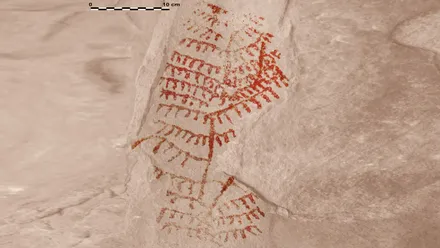 Figura vegetal de la Cueva Extremo Sur.