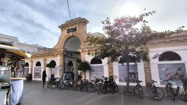 Fachada principal del Mercado Central de Cádiz a primeras horas de la tarde, con parte de un árbol en primer plano y la luz del sol filtrándose entre sus ramas. La entrada aparece abierta al público, con varios puestos exteriores visibles alrededor del edificio.