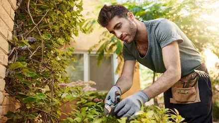 Jardinero arreglando unas macetas y setos.