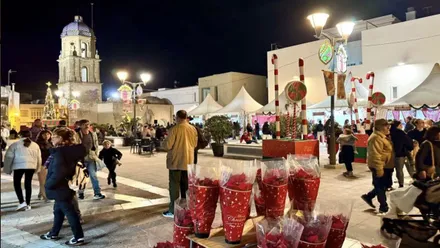 Plaza de la Merced con mercadillos y personas. Destaca la planta de la Navidad.
