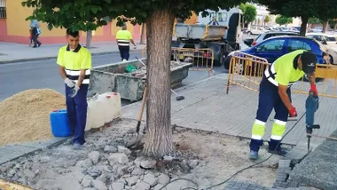 Dos operarios de azul y amarillo fluorescente trabajando en el acerado junto a un árbol.