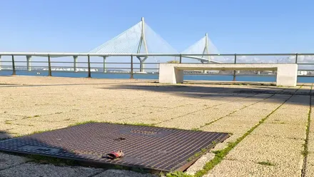 Restos de petardos en la Avenida de la Bahía mañana del 1 de enero de 2025. Foto: José Luis Porquicho Prada.