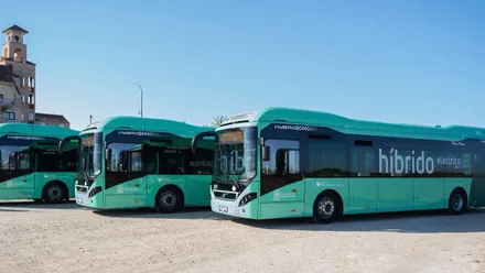 Autobuses verde agua de San Fernando, varios de ellos aparcados en escalón.