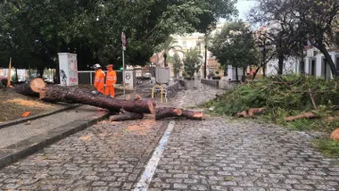 La borrasca Francis deja una treintena de incidencias en Cádiz: viviendas evacuadas y carreteras cortadas