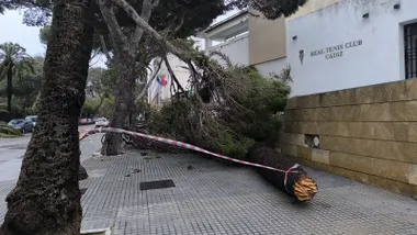 Un arbol roto y caído junto al Club de Tenis de Cádiz.